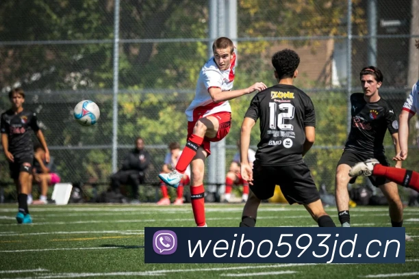 爱游戏app官网登录品牌故事